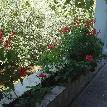 Penzion Danicic Dubrovník