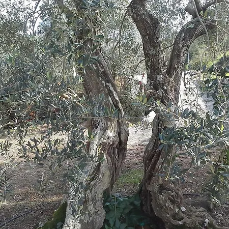 Penzion Danicic