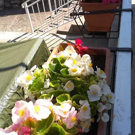 Danicic Maison d'hôtes