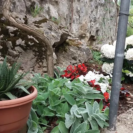 Danicic Dubrovnik