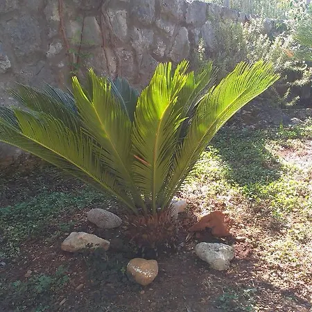 Konukevi Danicic